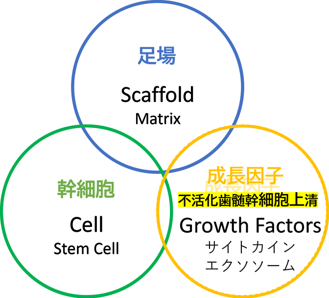 従来のインプラント再生治療